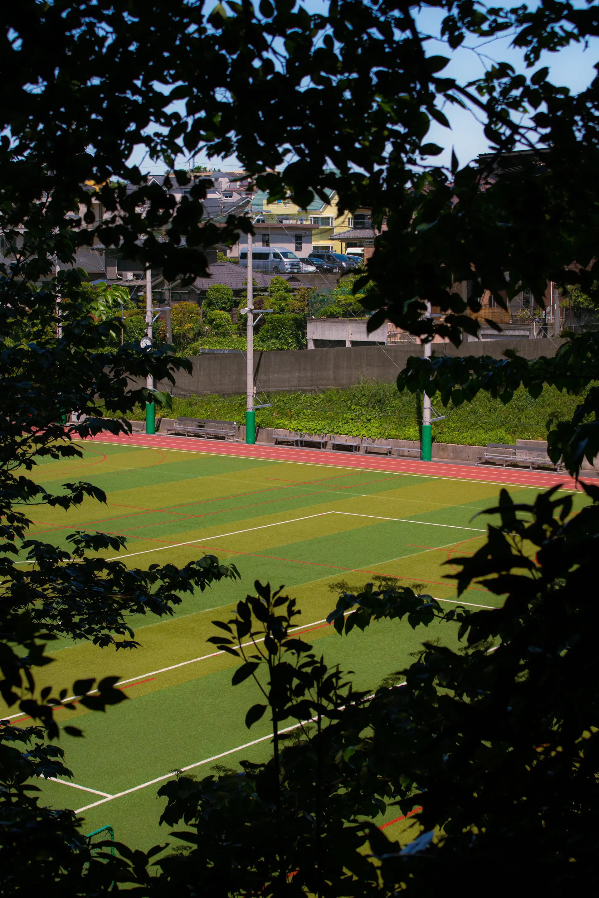 A green tennis court seen through the leaves of surrounding trees on a bright day